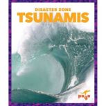 Tsunamis, Cari Meister