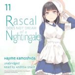 Rascal Does Not Dream of a Nightingal..., Hajime Kamoshida