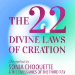 22 Divine Laws of Creation, Sonia Choquette