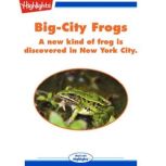 BigCity Frogs, Kathleen Bookbinder