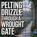 Pelting Drizzle Through a Wrought Gat..., Sleep Master
