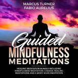 Guided Mindfulness Meditation Healing..., Marcus Turner