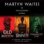 The Tom Killgannon Mysteries, Martyn Waites