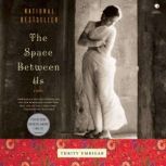 The Space Between Us, Thrity Umrigar