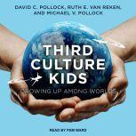 Third Culture Kids, David C. Pollock