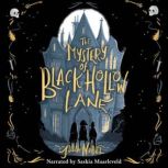 The Mystery of Black Hollow Lane, Julia Nobel