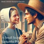 A Small Secret, Samantha Price
