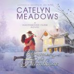 Christmas at the Farmhouse, Catelyn Meadows