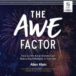 The Awe Factor, Allen Klein