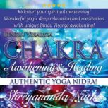 Bindu Visarga Chakra Awakening and He..., Shreyananda Natha