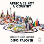 Africa Is Not a Country, Dipo Faloyin