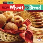 From Wheat to Bread, Stacy Taus-Bolstad