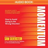 Momentum, Sam Silverstein