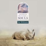Concerning the Future of Souls, Joy Williams