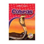 Cobras, Colleen Sexton