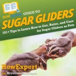 HowExpert Guide to Sugar Gliders, HowExpert