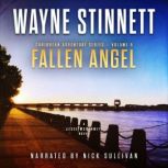 Fallen Angel A Jesse McDermitt Novel, Wayne Stinnett