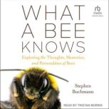 What a Bee Knows, Stephen Buchmann
