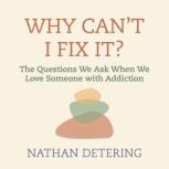Why Cant I Fix It?, Nathan Detering