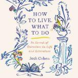 How to Live. What to Do In Search of Ourselves in Life and Literature, Josh Cohen