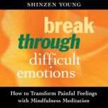 Break Through Difficult Emotions, Shinzen Young