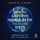 How to Save the World in Six Not So ..., David M. Schizer