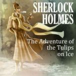 Sherlock Holmes The Adventure of the..., Petr Macek