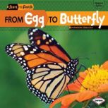 From Egg to Butterfly, Shannon Zemlicka