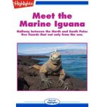 Meet the Marine Iguana, Sherry Shahan