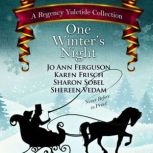 One Winters Night, Jo Ann Ferguson