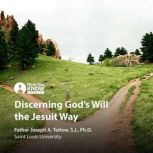 Discerning Gods Will the Jesuit Way, Joseph A. Tetlow