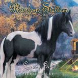 Phantom Stallion, Terri Farley