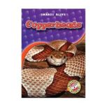 Copperheads, Colleen Sexton