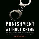 Punishment Without Crime How Our Massive Misdemeanor System Traps the Innocent and Makes America More Unequal, Alexandra Natapoff
