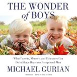 The Wonder of Boys, Michael Gurian