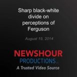 Sharp blackwhite divide on perceptio..., PBS NewsHour