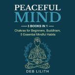 Peaceful Mind, Deb Lilith