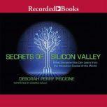 Secrets of Silicon Valley What Everyone Else Can Learn from the Innovation Capital of the World, Deborah Perry Piscione