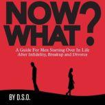 NOW WHAT? A Guide for Men Starting Over in Life After Infidelity, Breakup and Divorce, DSO