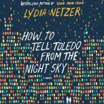 How to Tell Toledo from the Night Sky..., Lydia Netzer