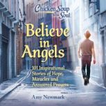 Chicken Soup for the Soul Believe in..., Amy Newmark