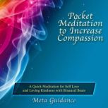 Pocket Meditation to Increase Compass..., Meta Guidance