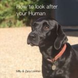How to Look After Your Human, Milly Lorimer