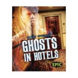 Ghosts in Hotels, Lisa Owings