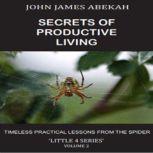 SECRETS OF PRODUCTIVE LIVING VOL. 2, JOHN JAMES ABEKAH