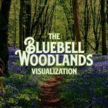 The Bluebell Woodlands Visualization, Hannah Lilly