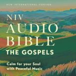 NIV Audio Bible, The Gospels Calm fo..., Zondervan