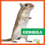 Gerbils, Vanessa Black