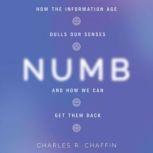Numb How the Information Age Dulls Our Senses and How We Can Get them Back, Charles R. Chaffin