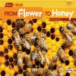 From Flower to Honey, Robin Nelson